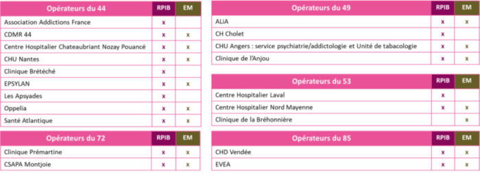 E08_Operateurs_RPIB_EM_PDL